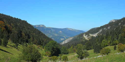 course nature
