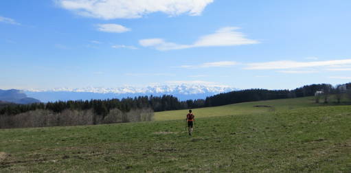 Planifier saison de trail