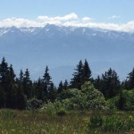 Reprise du trail après une longue blessure