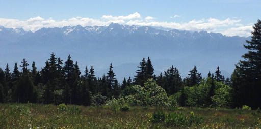 Reprise du trail après blessure