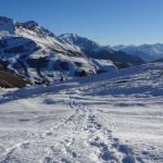 A quoi bon courir l’hiver ?