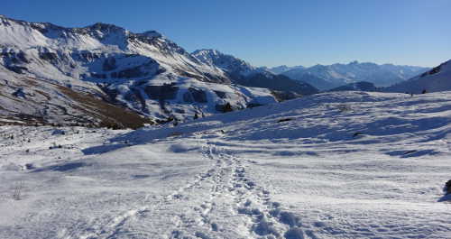 courir l'hiver